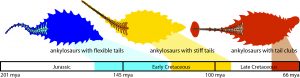 Timeline of ankylosaur tail evolution. Credit: Victoria Arbour.