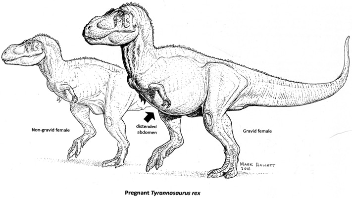 Pregnant T.rex