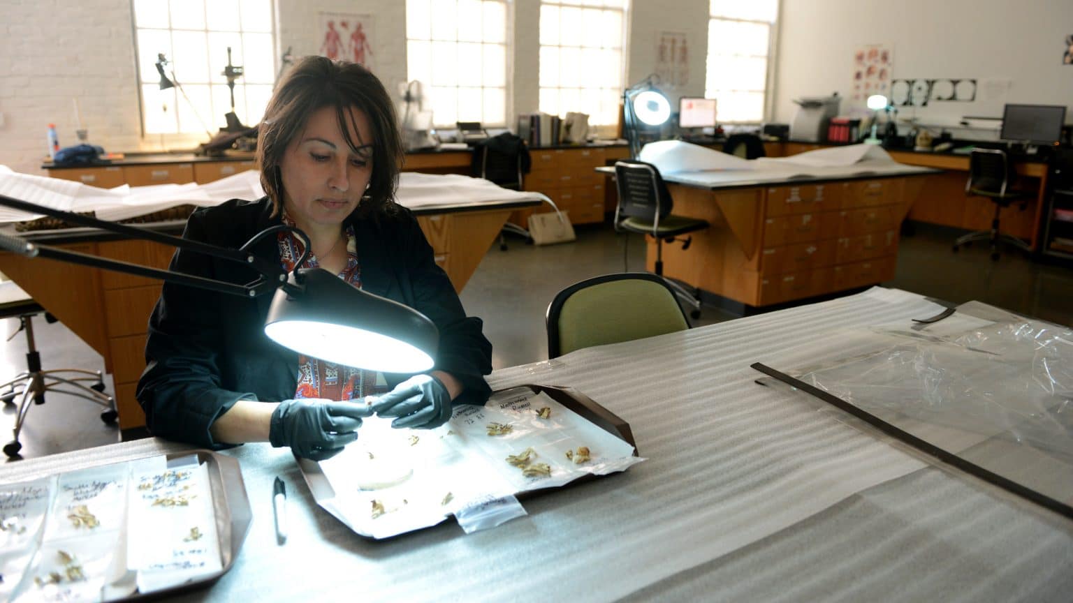 Ross lab receives grant to work with national missing and unidentified