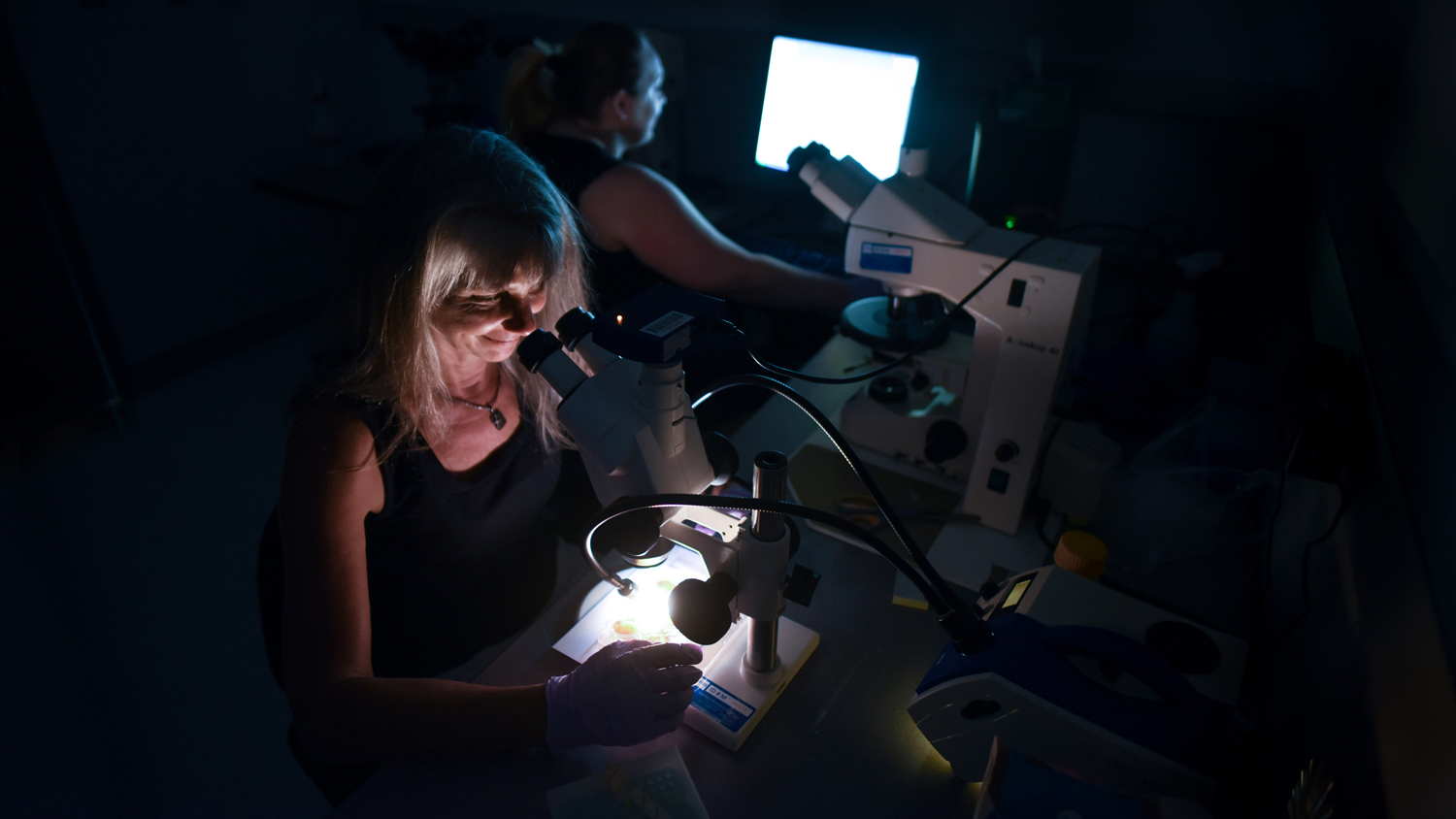 Mary Schweitzer and research team in her molecular paleontology lab