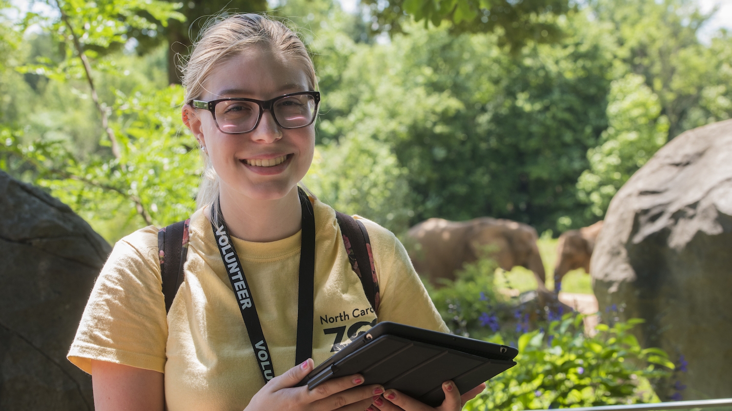 Katherine Kastl, a senior in zoology, studied elephants as part of her summer internship with the N.C. Zoo.