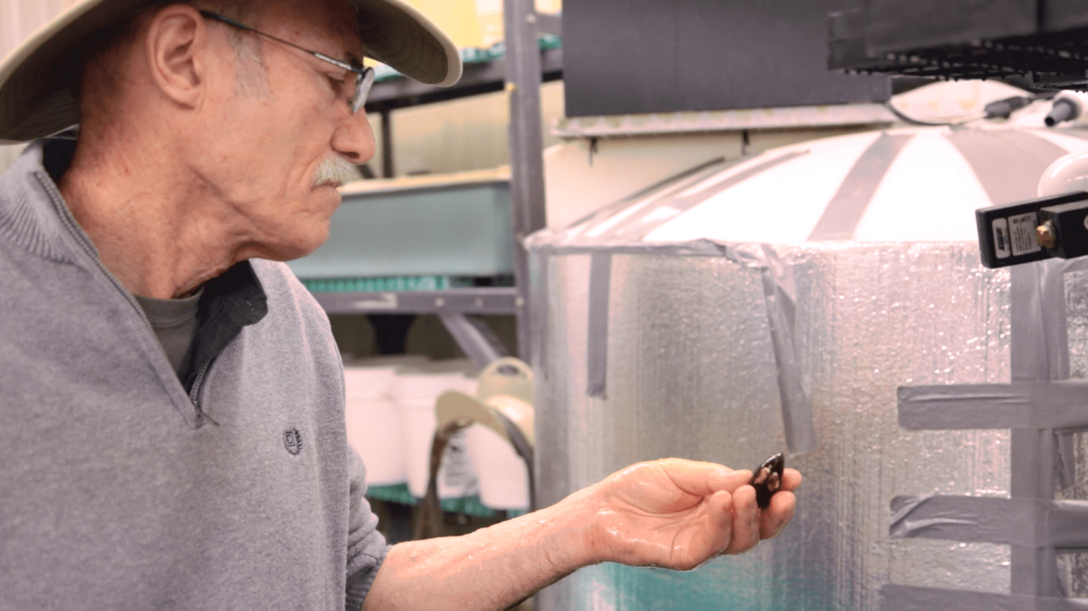 Jay Levine studies freshwater mussels in his NC State lab