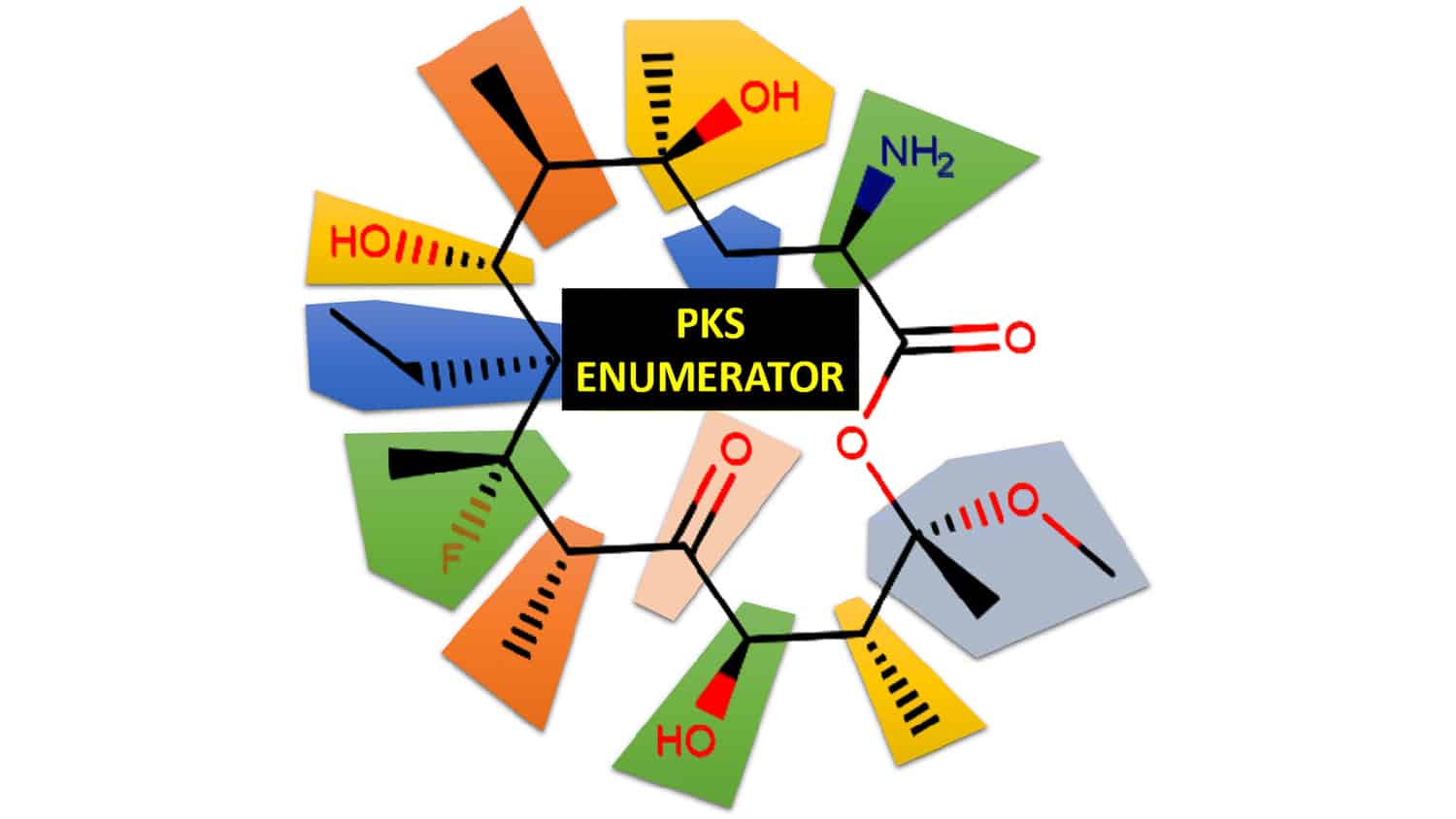 PKS Enumerator software generates new macrolides by permuting key chemical building blocks.