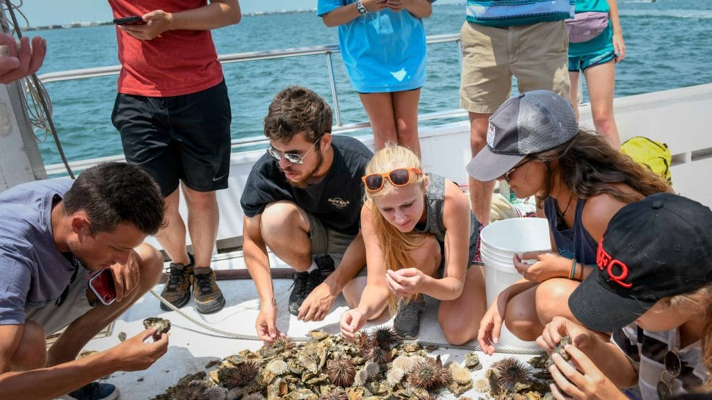 Students on a boat look at sea creatures they've just pulled in with a net