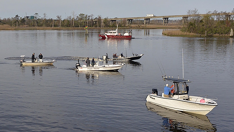 Fishing boats on the Cape Fear River