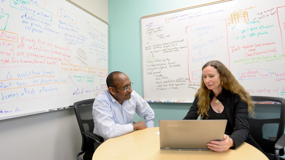 Two faculty work at a laptop in a room with formulas written on whiteboards in the background