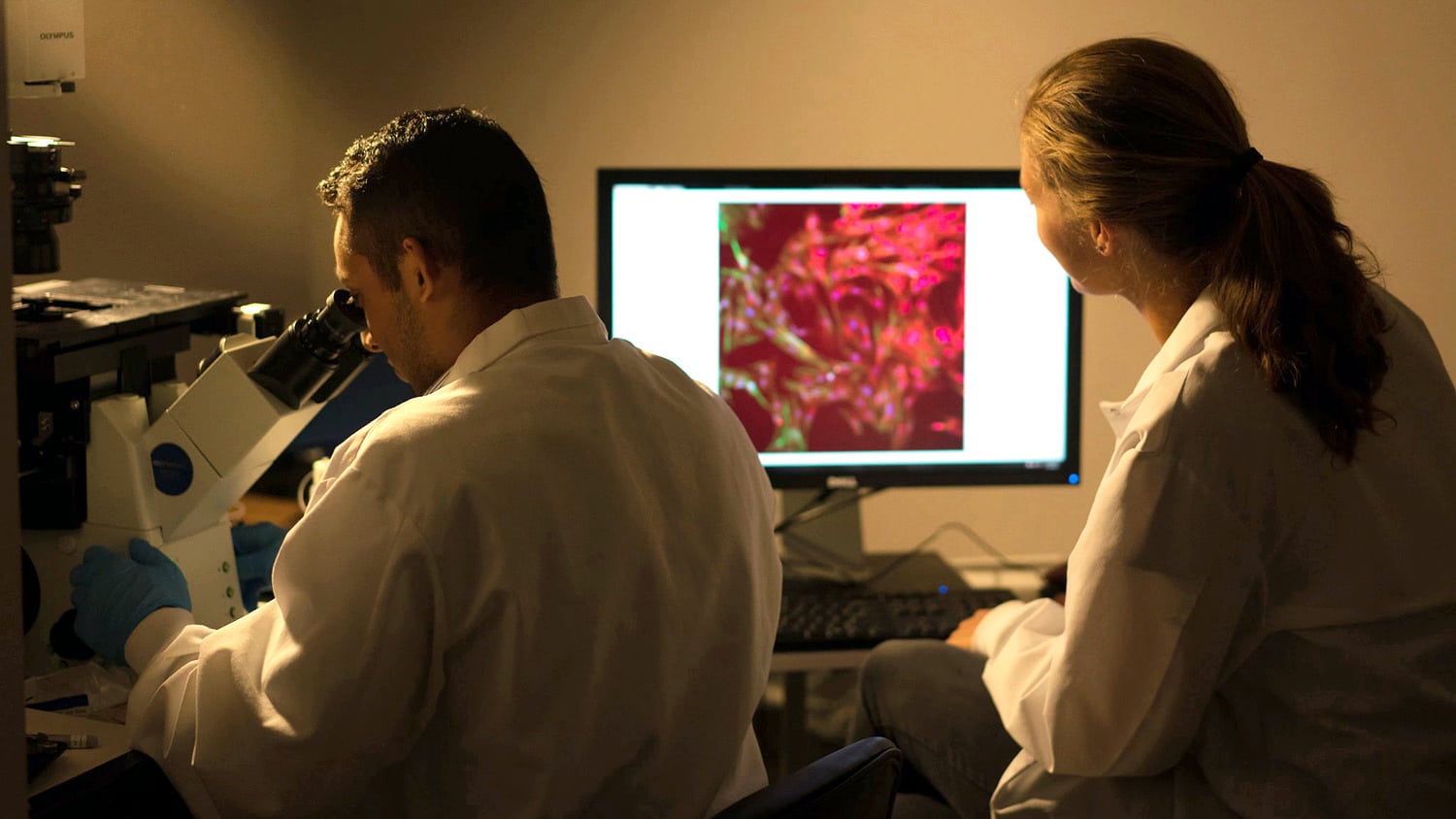 Two researchers look at samples under a microscope and on a screen in a darkened lab