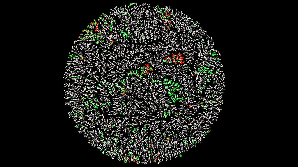 Chemistry Network Visualization of Macrolactones