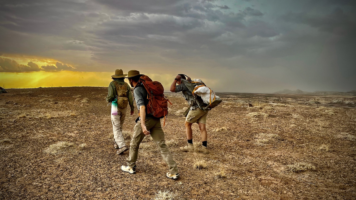 BIO 325 students carry fossils from the Crystal Geyser Quarry Utah 2021