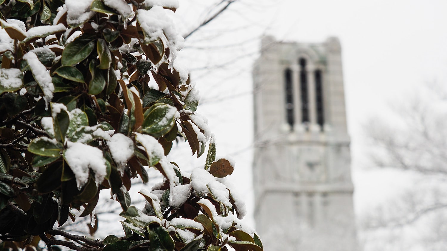 The NC State Memorial Belltower is framed by snow-covered trees.