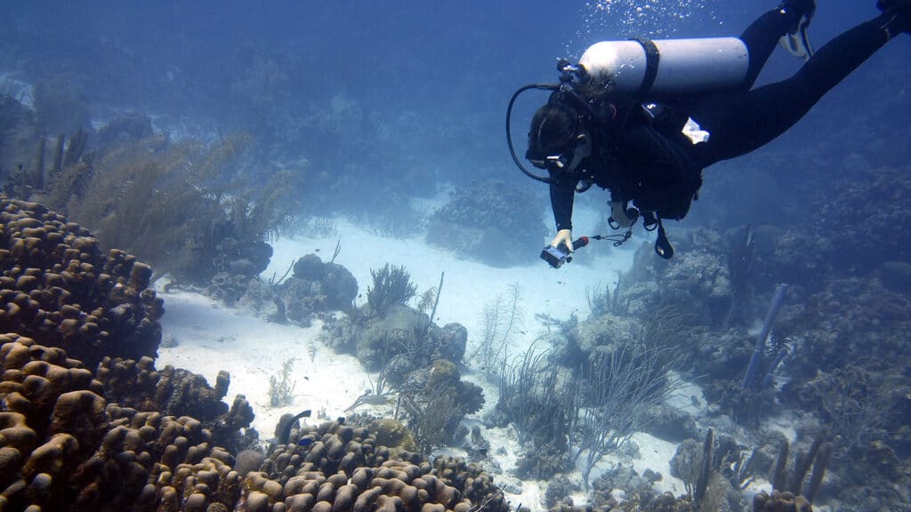 A scuba diver explores the Angel City dive site in Bonaire
