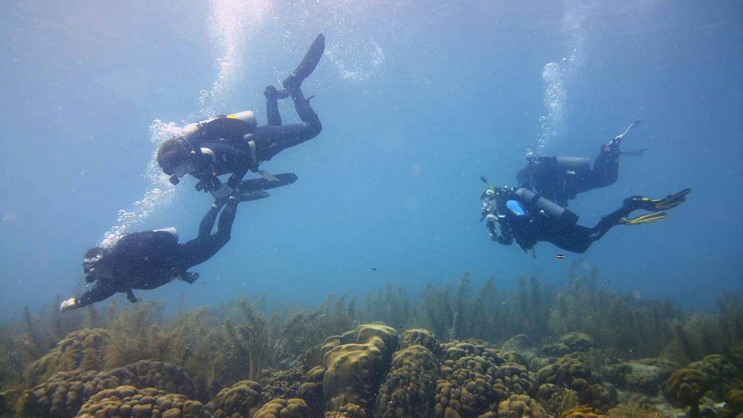 A group of divers explore the Jeff Davis Memorial dive site in Bonaire