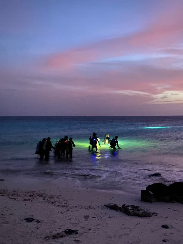 Students get into the water in their scuba diving gear in Bonaire at nighttime