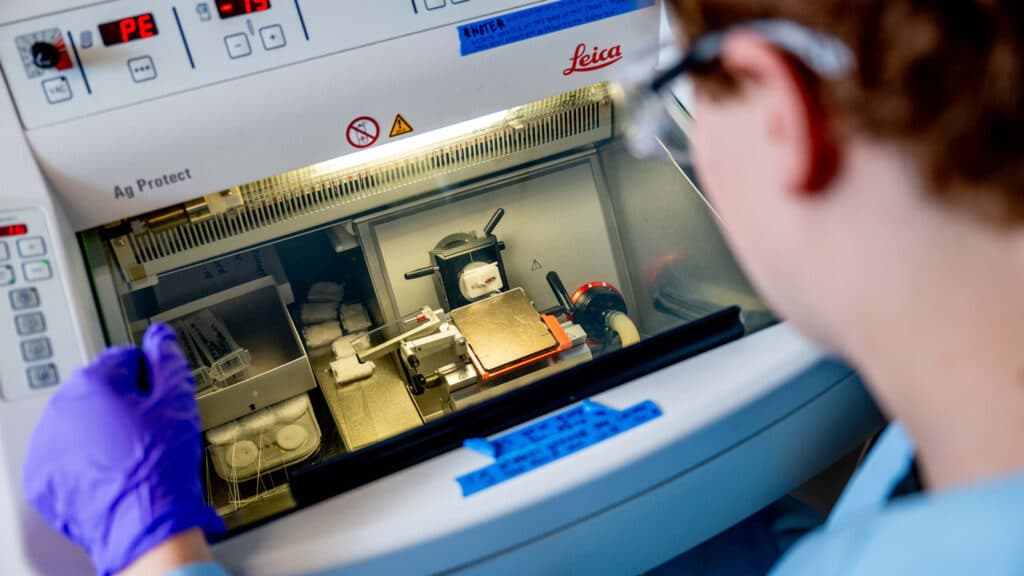 Adam Nahor looks at a zebrafish sample