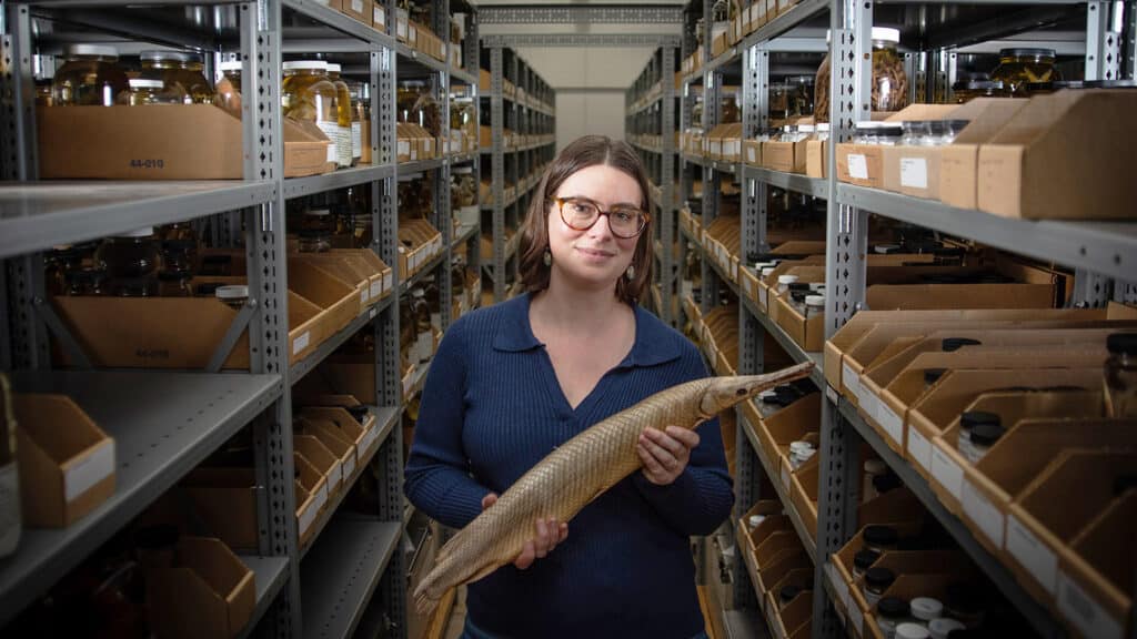 Lily Hughes, NC State research assistant professor and curator of ichthyology at the North Carolina Museum of Natural Sciences, holds a fish specimen