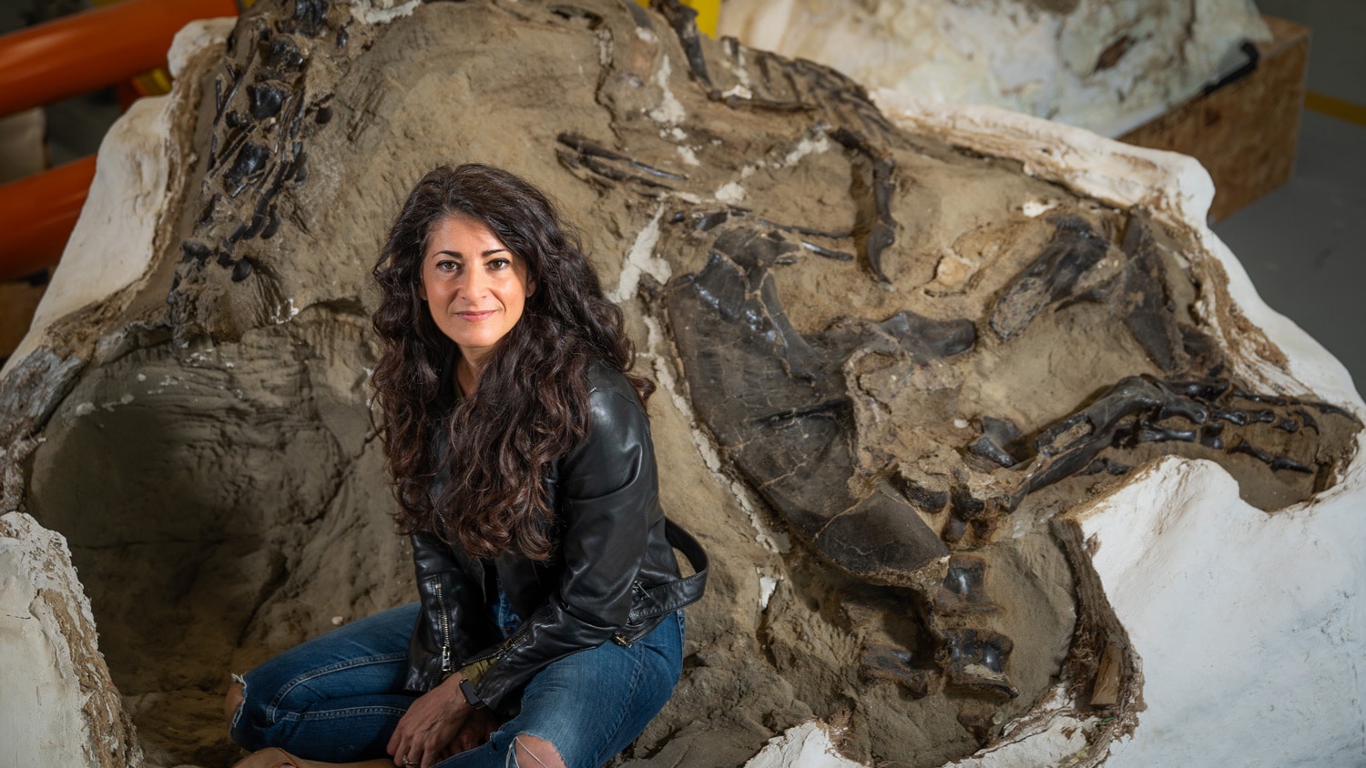 Lindsay Zanno with the Dueling Dinosaurs fossils.