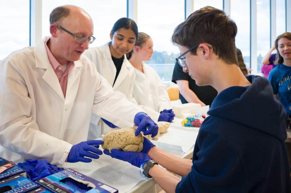 People in lab coats show someone a human brain