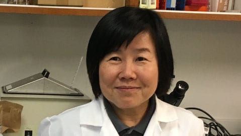Jun Ninomiya-Tsuji