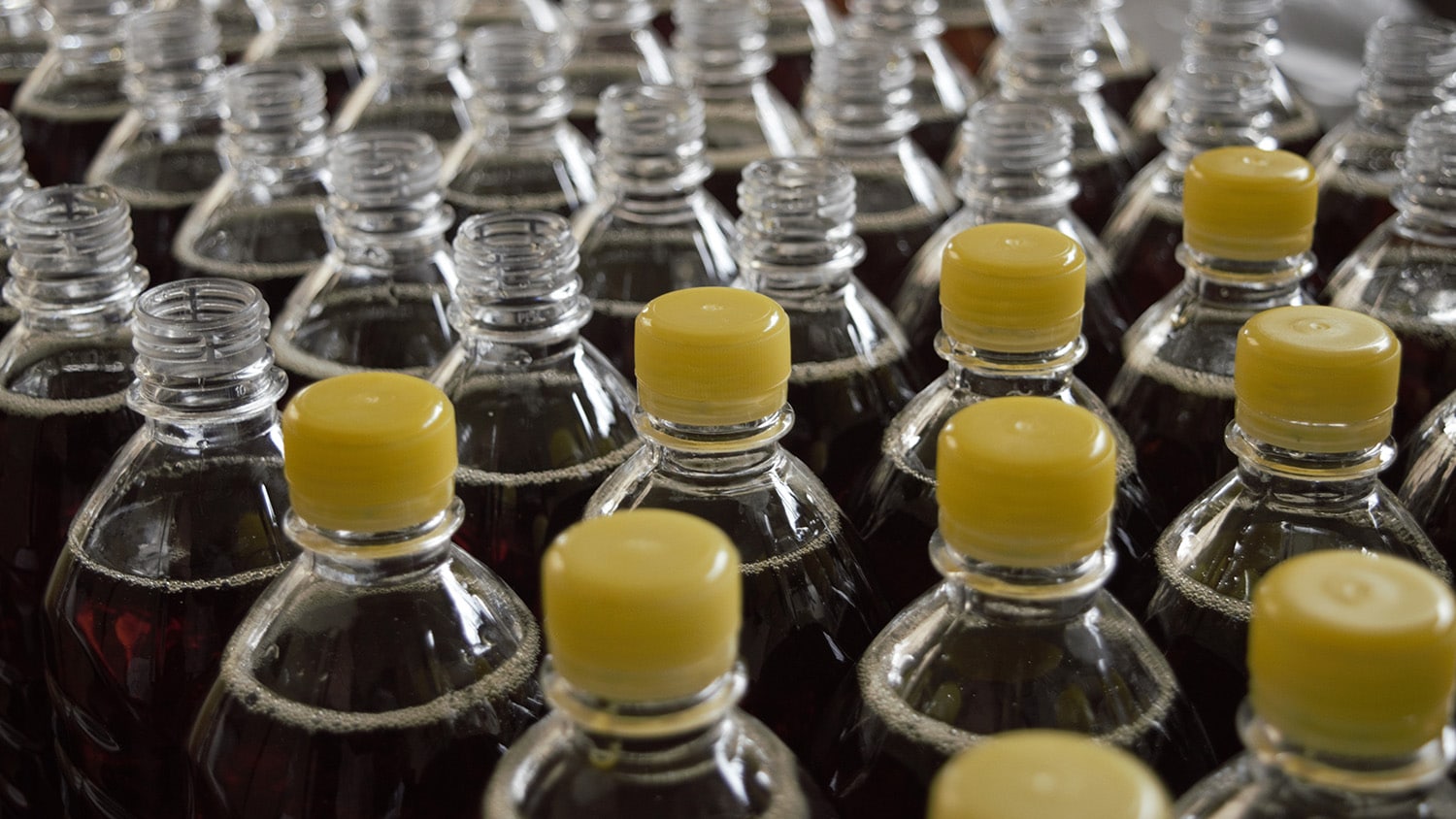 Rows of plastic bottles