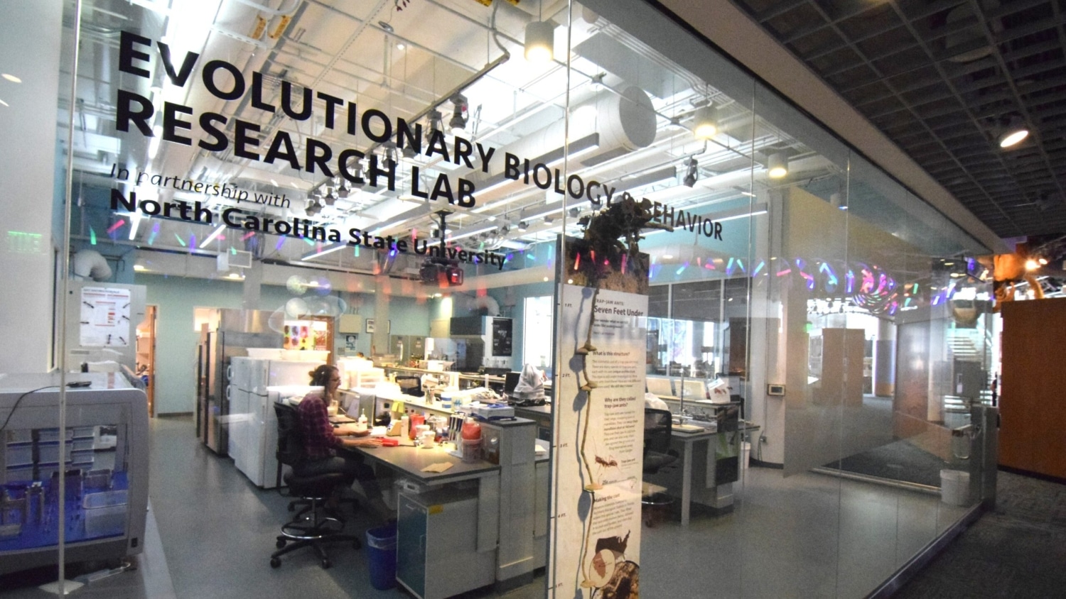 View of the Evolutionary Biology and Behavior Research Lab at NC Museum of Natural Sciences