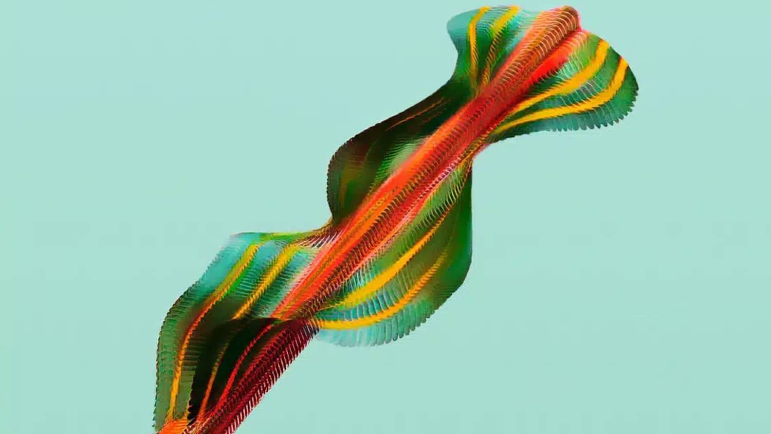 Two-lined spittlebug, Prosapia bicincta,filmed at 6,000 frames per second.