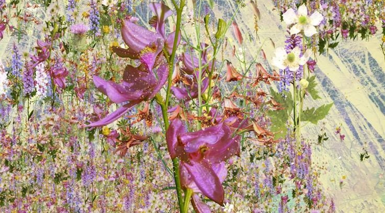 artistic rendering of plants with white and purple flowers